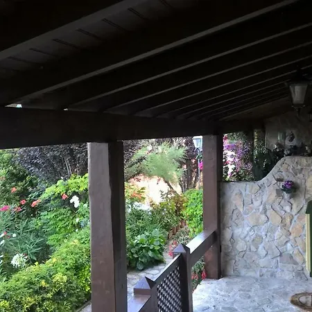 Tree House Σπίτι διακοπών