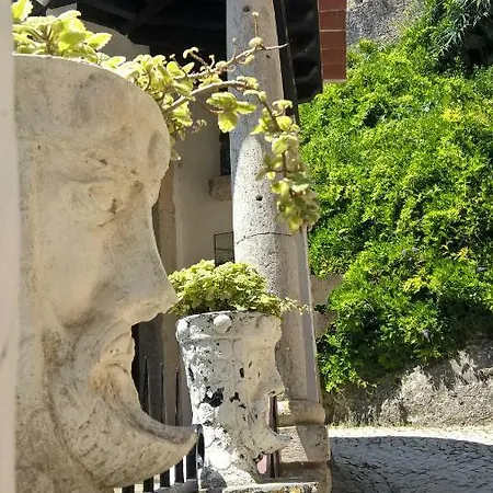 Tree House Όμπιδος