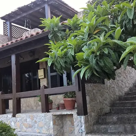 Σπίτι διακοπών Tree House Όμπιδος