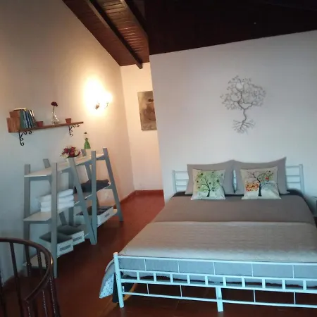 Tree House Σπίτι διακοπών Όμπιδος
